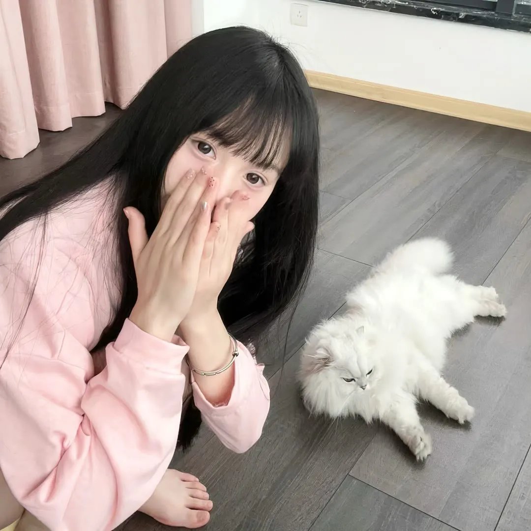 好莱坞芭比电影版